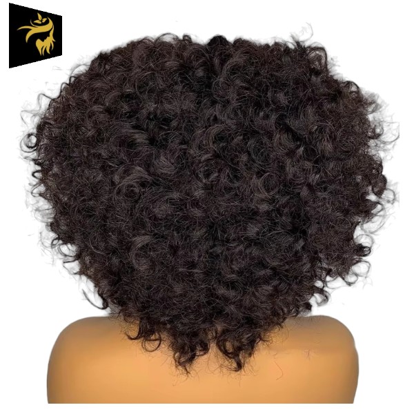 Full Machine Wig - Jerry Curls - Brazilian Remy Human Hair - Short Pixie Cut Bob Pre-Plucked With Baby Hair - Image 3