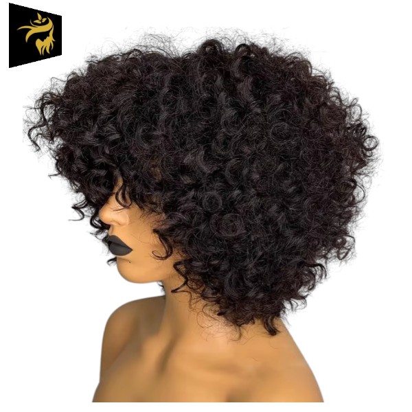 Full Machine Wig - Jerry Curls - Brazilian Remy Human Hair - Short Pixie Cut Bob Pre-Plucked With Baby Hair - Image 4