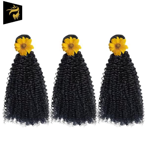 Hair Bundles / Weave - Kinky Curly - Brazilian Remy Human Hair - Natural Black Color 3Pcs/Set Double Weft